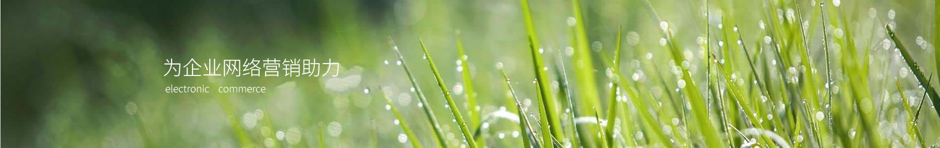 оˮ޹˾